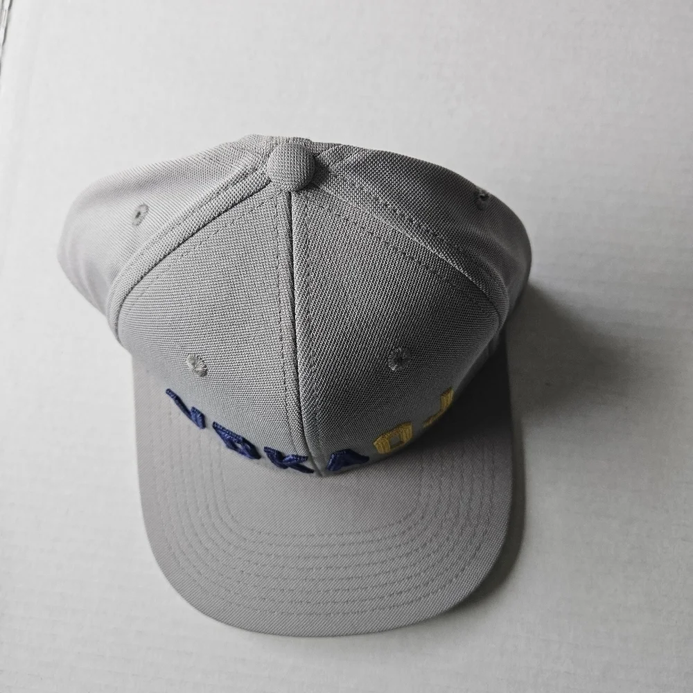 Grindin Golf Co Gray Embroidered VDKA OJ Snapback Cap